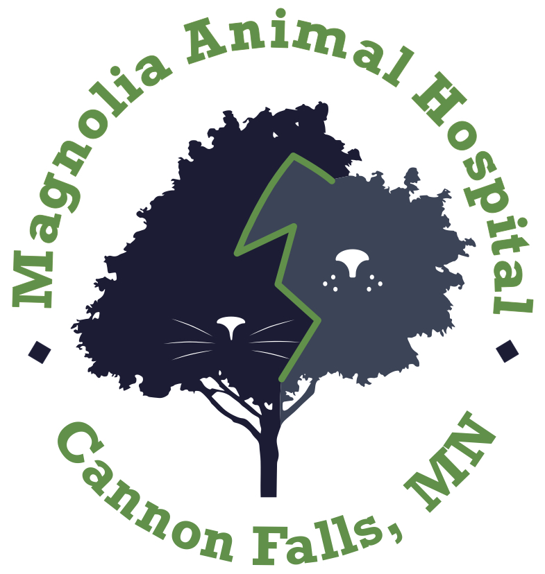 About Us - Magnolia Animal Hospital